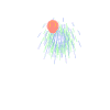firework.gif